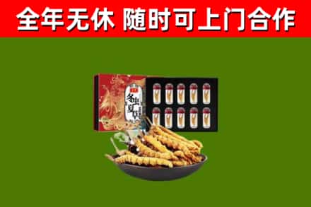 白云区回收冬虫夏草价格